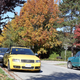 Imola Yellow vs. Autumn foilage